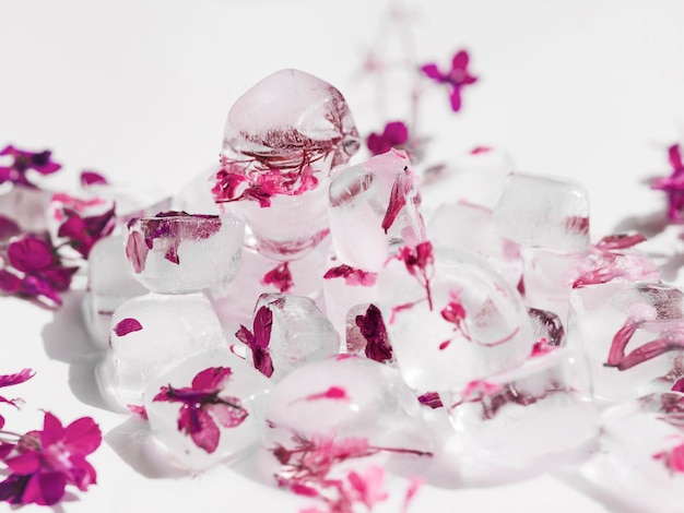 Pile of pink flowers in ice cubes