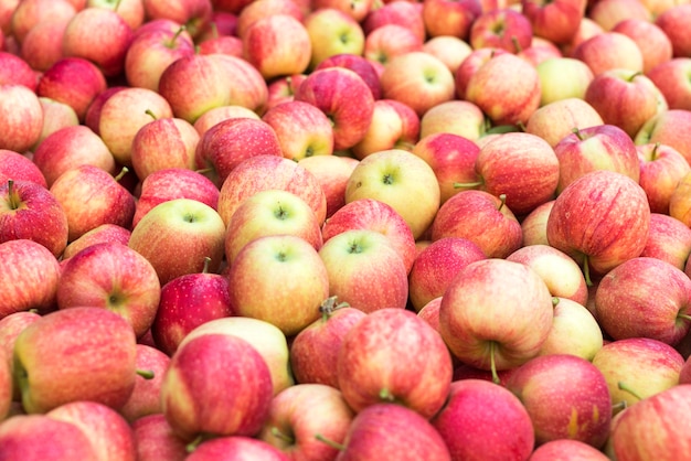 Free photo pile of red fresh apples