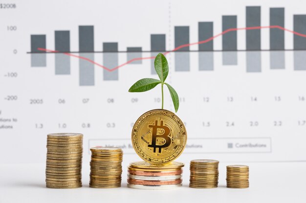 Piles of coins with plant in front of graph