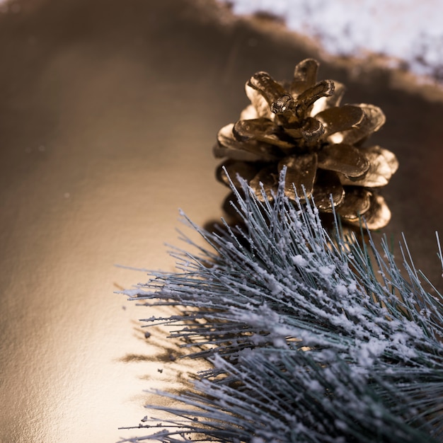 Free photo pine cone and conifer branch covered with snow