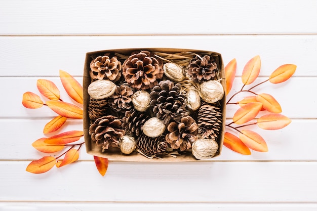 Free photo pine cones in box on white background