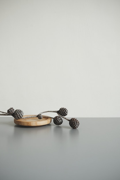 Pine cones branch laying on wooden  board