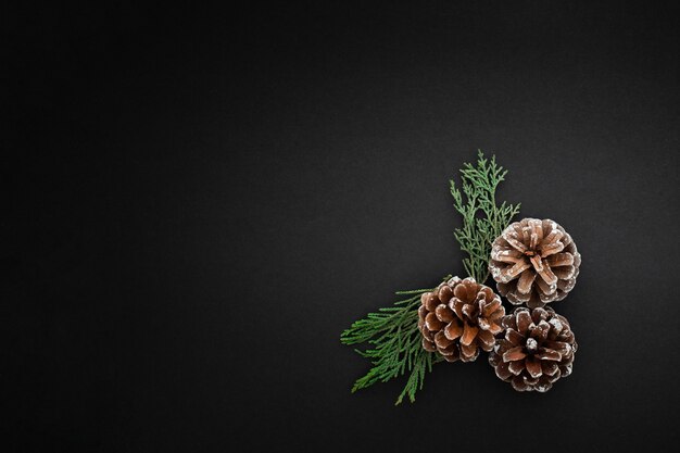 Pine cones and branches on dark background