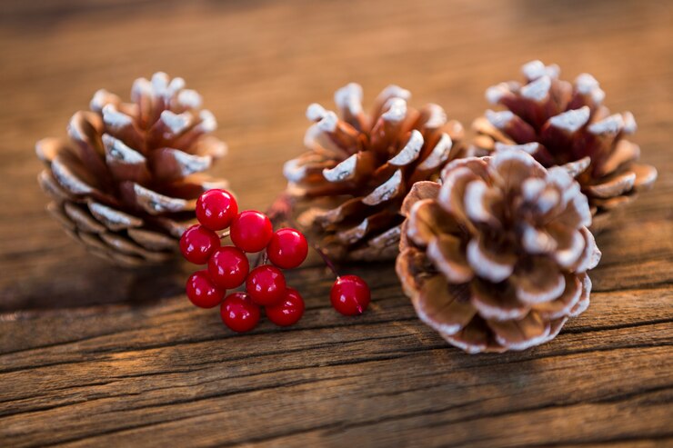 Free Photo pine cones on a wooden table