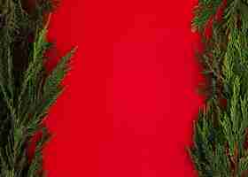 Free photo pine leaves on a red background with copy space