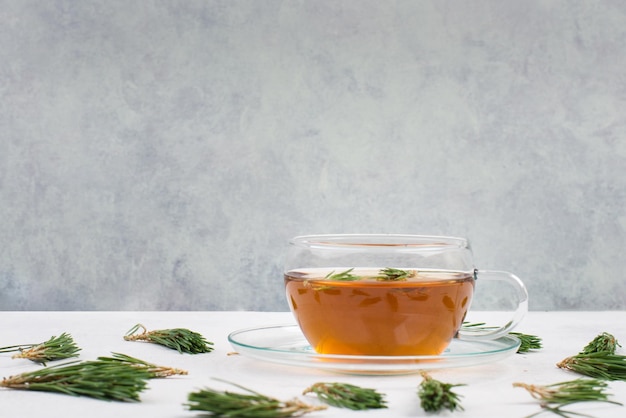 Free photo pine needle tea in a cup on a white textured background empty copy space for text hot drink