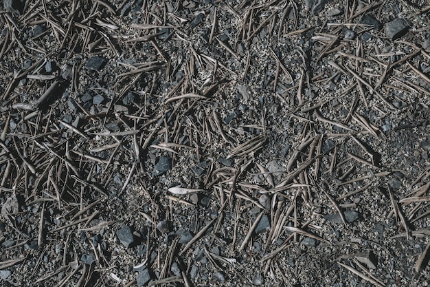 Pine needles on grey ground