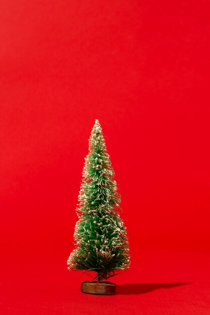 Pine on red wall