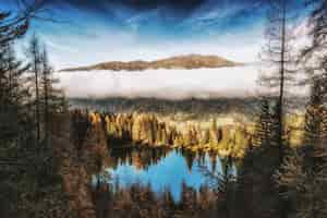 Foto gratuita pini accanto allo specchio d'acqua vicino alla montagna sotto le nuvole bianche