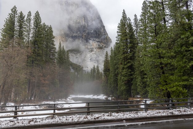 Сосны и река в туманный день в национальном парке Йосемити