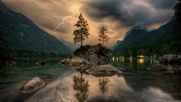 Pine trees on rock formation near mountains under gray clouds