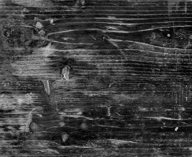 pine wood texture