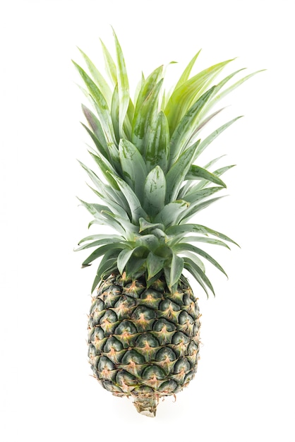 Pineapple fruit