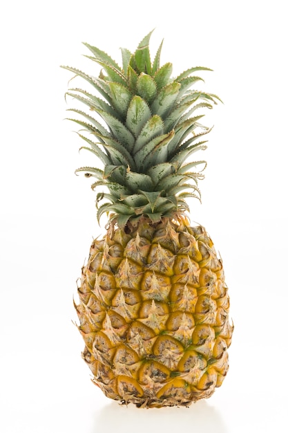 Pineapple fruit