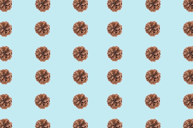 Pinecone blue and brown background