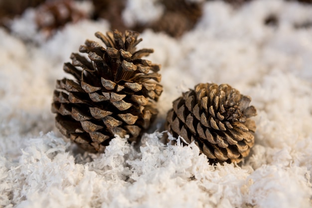 Pinecone on fake snow