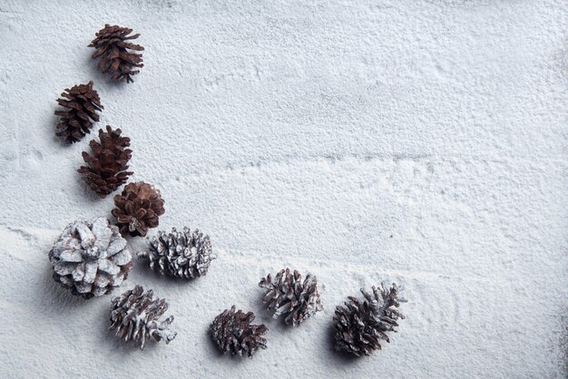 雪の上の松ぼっくり。クリスマスの飾り