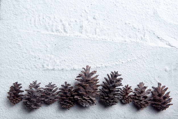 Pinecone on the snow. Christmas decoration