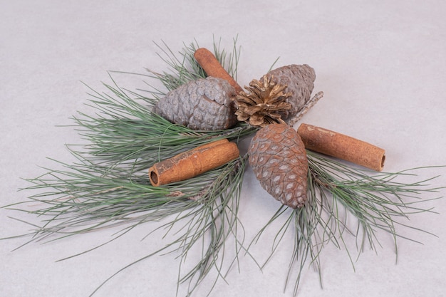 Pinecone with green branch of tree on white surface