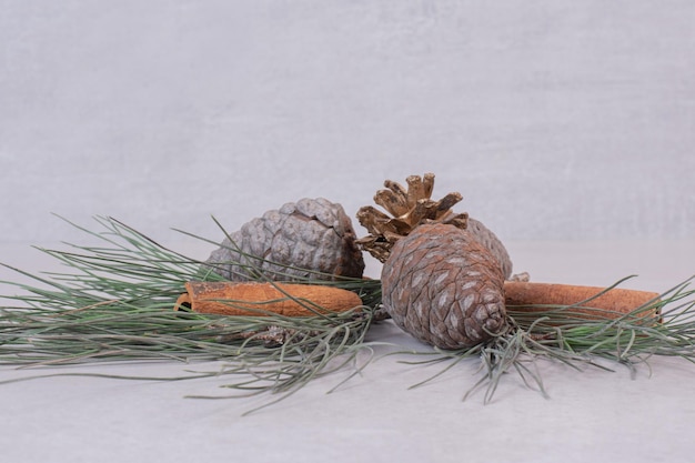 Pinecone with green branch of tree on white table.