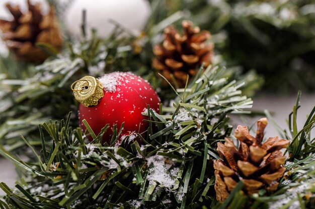 Pinecones and fir