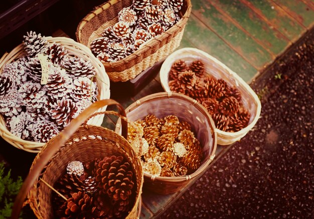 Pines In Wooden Basket Organized