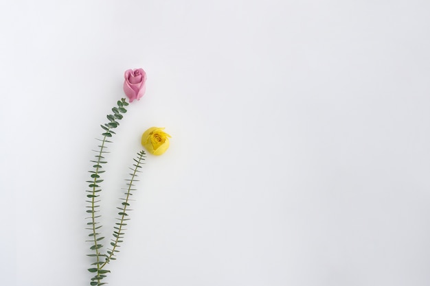 白色表面上のピンクと黄色の花