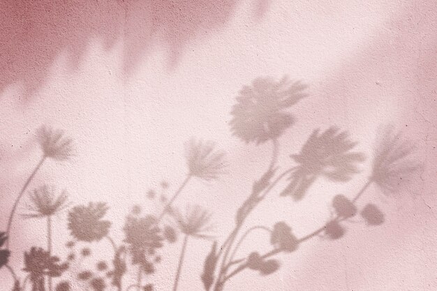 Pink background with floral field shadow