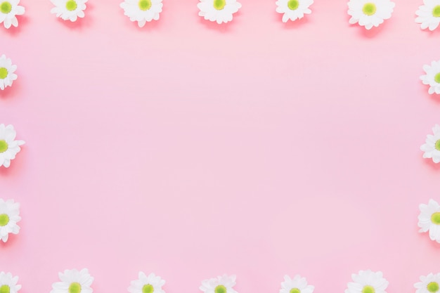 Pink background with flowers at borders