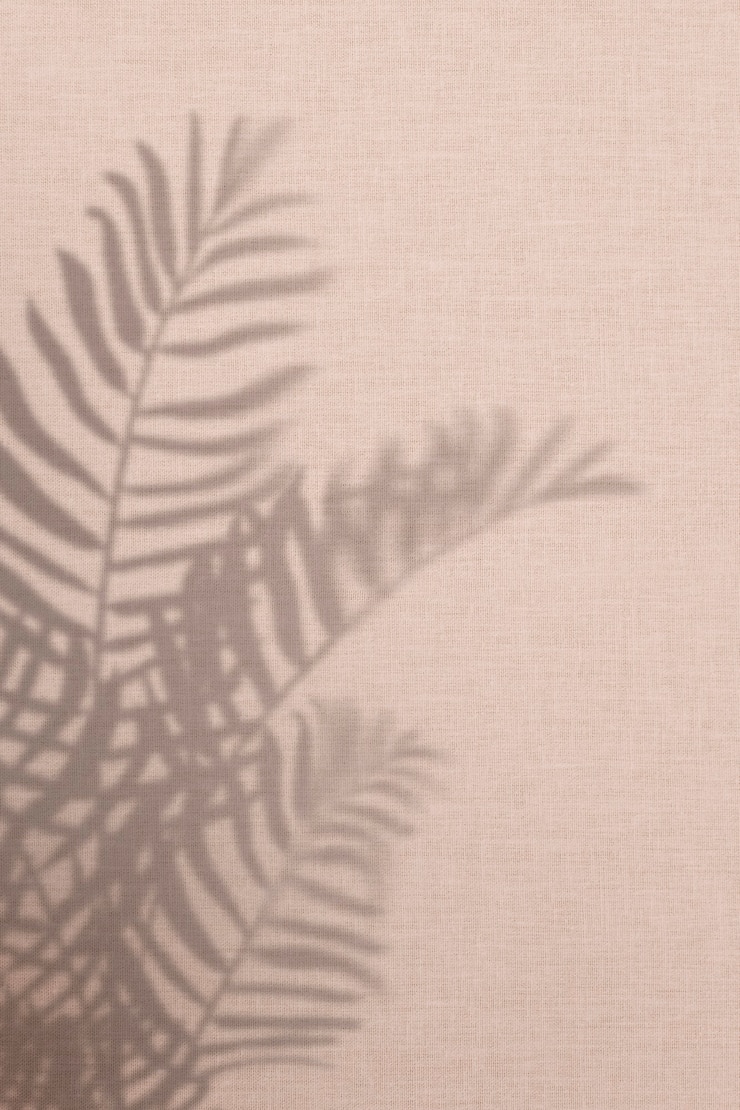 Free Photo pink background with palm leaves shadow
