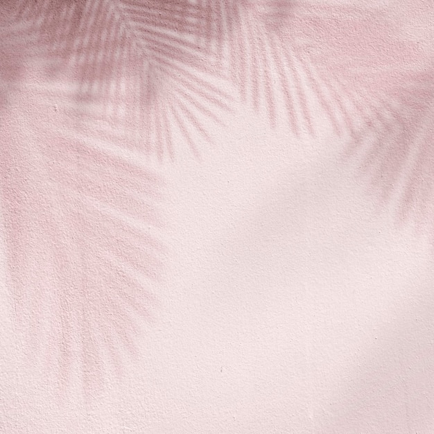 Pink background with palm tree