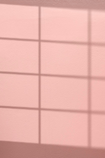 Pink background with window shadow reflected on the wall