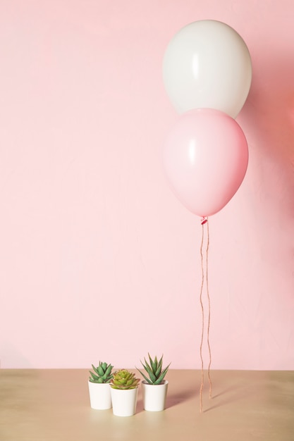 Pink balloons and cactus