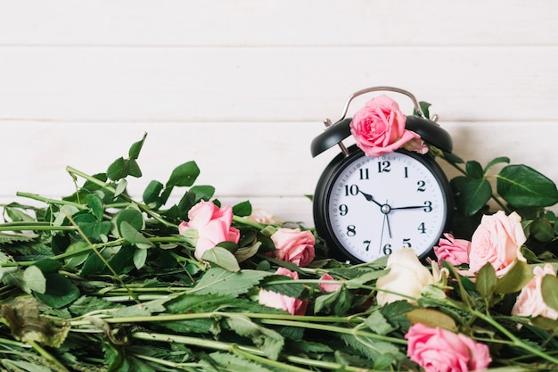 Розовые цветущие розы и часы