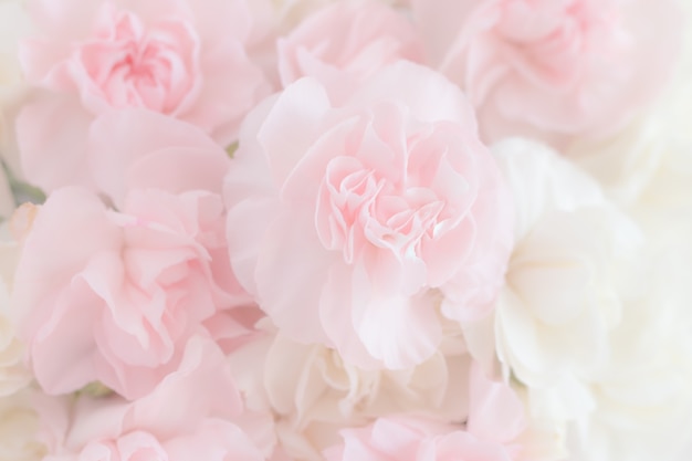 Pink carnation flowers bouquet on light pink background.