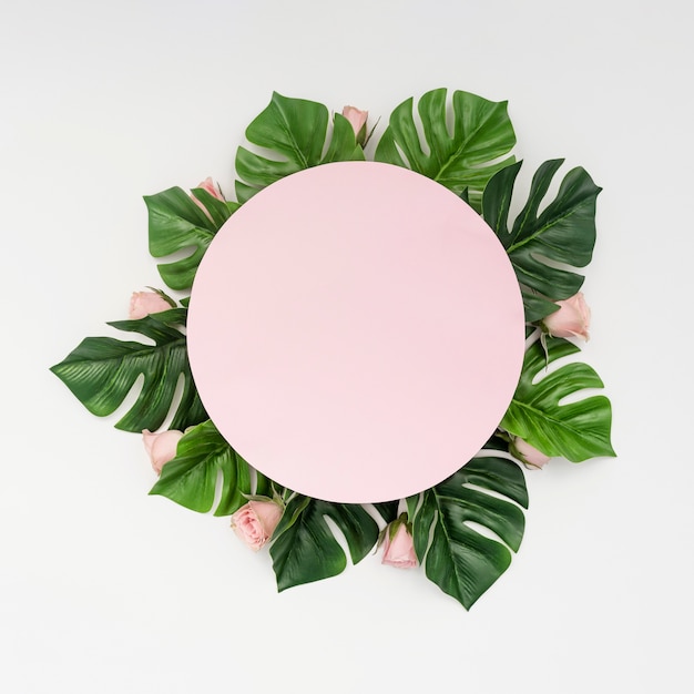 Pink copy space surrounded by monstera leaves