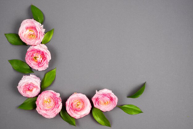 Pink curved volumetric flowers 