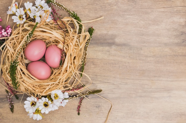 Foto gratuita uova rosa nel nido