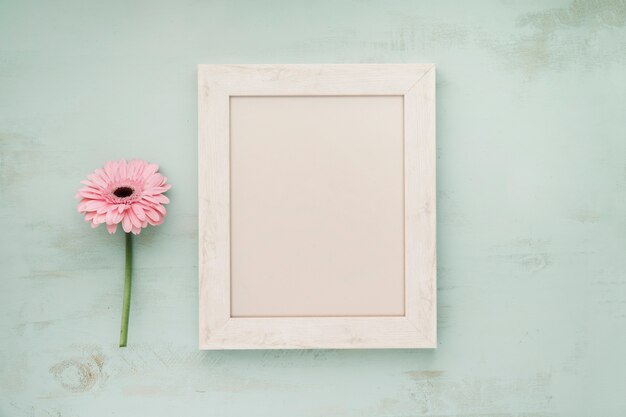 Pink flower near white frame