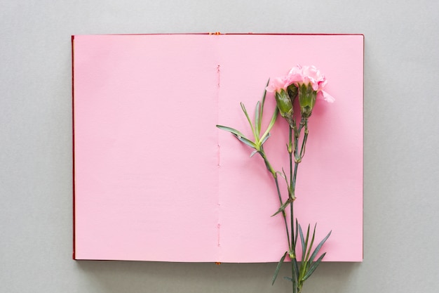 Pink flower on notebook on table 