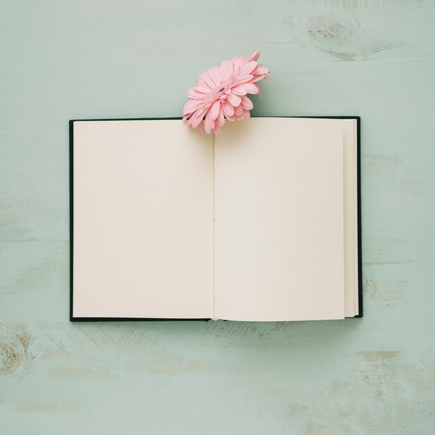 Pink flower over opened laptop