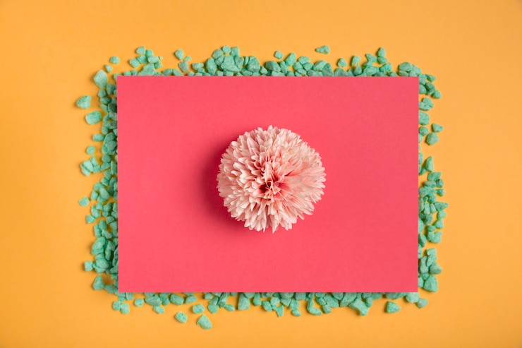 Free Photo pink flower on pink rectangle with rocks