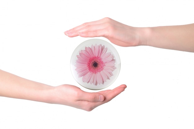 Pink flower surrounded by hands