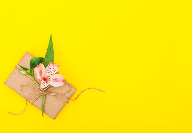 Pink flower with gift box on table