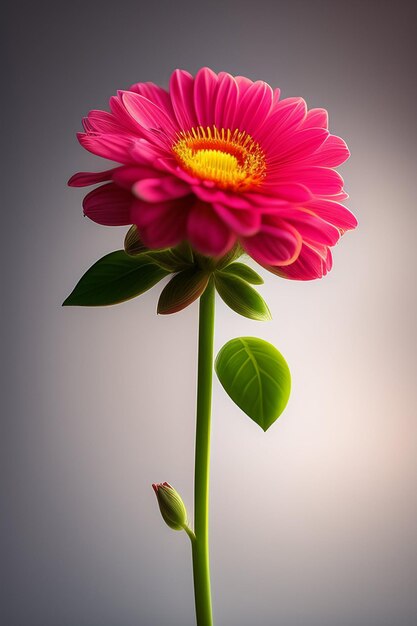 A pink flower with a green leaf on it