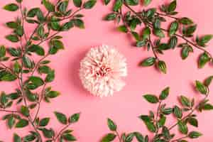 Free photo pink flower with in leaves frame