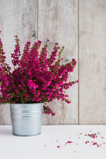 Pink flowering twigs in the aluminum container on white desk against plank