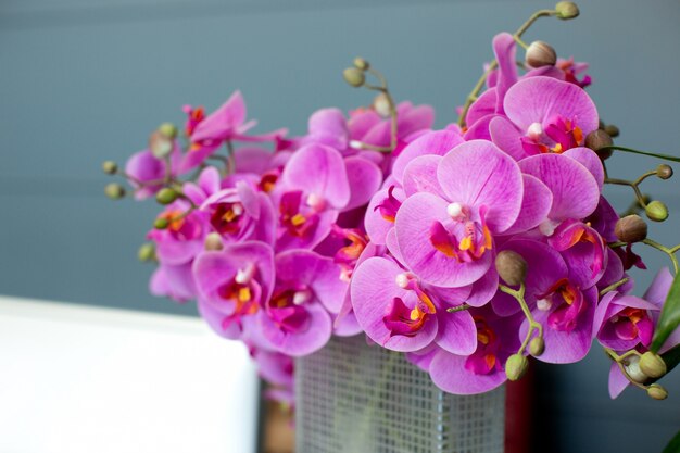 Pink flowers in the basket