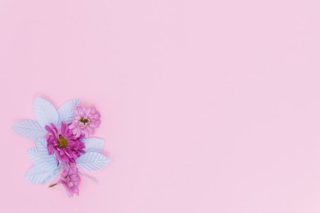 Pink flowers and blue leaves