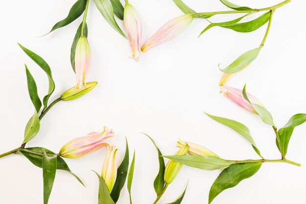 Pink flowers border over white background